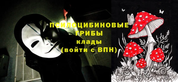 не бодяженный Алексин