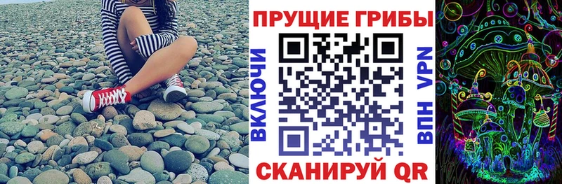 закладки  omg ONION  Псилоцибиновые грибы GOLDEN TEACHER  Выкса 
