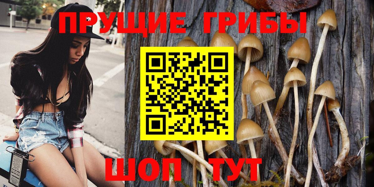 Галлюциногенные грибы мицелий Выкса