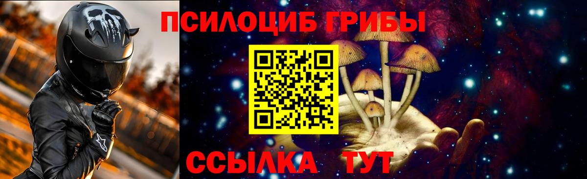 Галлюциногенные грибы Magic Shrooms  даркнет сайт  Выкса  Вход с VPN  Галлюциногенные грибы мицелий 